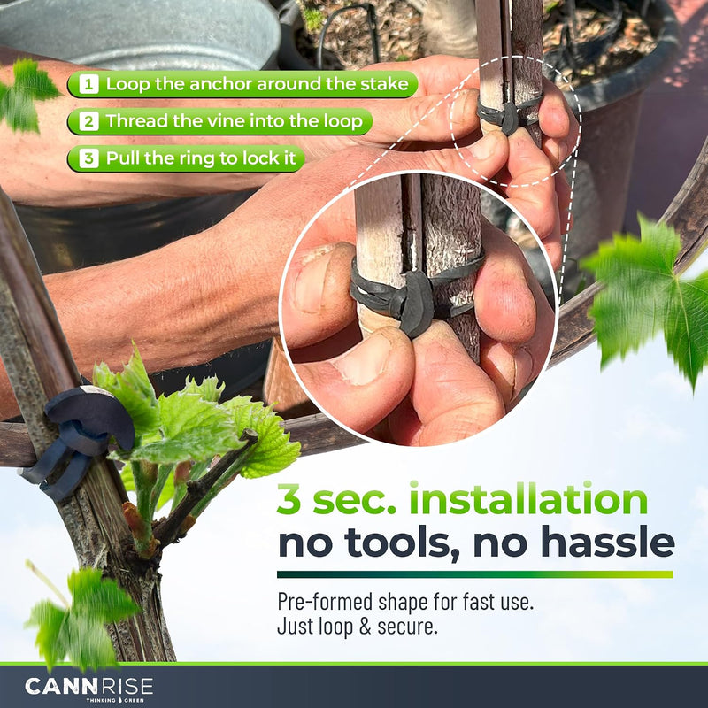 Anchor Bands for Trellising in Rubber Vine Ties, UV-Protected Bands: Grapevines, Trees & Climbing Plants – Tool-Free Loop-and-Anchor Design for Install, Weatherproof