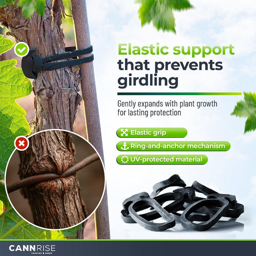 Anchor Bands for Trellising in Rubber Vine Ties, UV-Protected Bands: Grapevines, Trees & Climbing Plants – Tool-Free Loop-and-Anchor Design for Install, Weatherproof