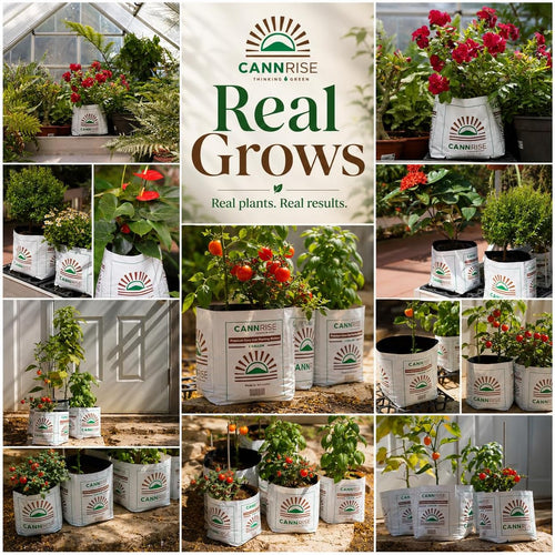 Coco Coir Grow Bags 5 Pack, 2 Gallon Pre-Filled & Ready to Plant — No Soaking or Bucket Needed, Peat-Free Coconut Coir Planting Bags for Herbs, Vegetables & Flowers, Indoor & Outdoor