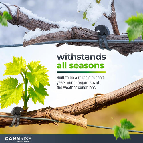 Anchor Bands for Trellising in Rubber Vine Ties, UV-Protected Bands: Grapevines, Trees & Climbing Plants – Tool-Free Loop-and-Anchor Design for Install, Weatherproof